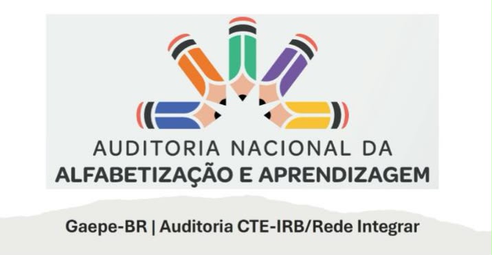 CTE-IRB apresenta auditoria nacional sobre alfabetização durante reunião do Gaepe-Brasil